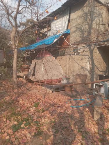 a house with a tent on the side of it at Mrganush kamp in Meghri