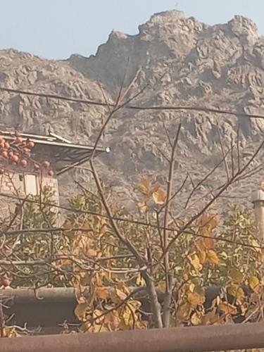 Fotografie z fotogalerie ubytování Mrganush kamp v destinaci Meghri