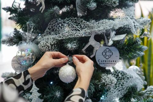 Caprioara Spa&Wellness Resort