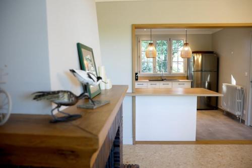 a kitchen with a counter with a bird statue on it at LE CEDRE Maison bord de LOIRE 4 in Muides-sur-Loire