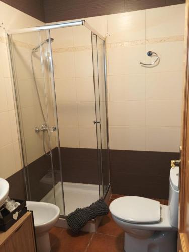 a bathroom with a shower and a toilet and a sink at Apt Santa Cruz de Caravaca in Caravaca de la Cruz