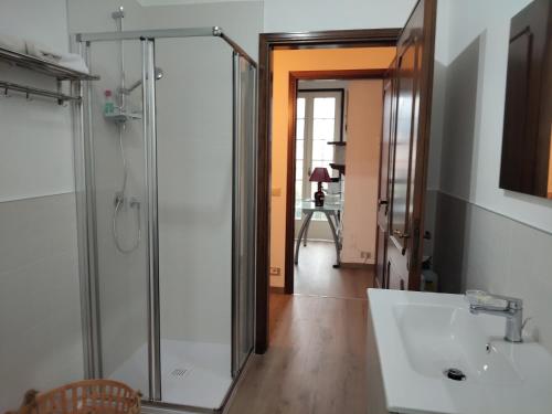 a bathroom with a shower and a sink at Malpensa monolocale indipendente in Samarate