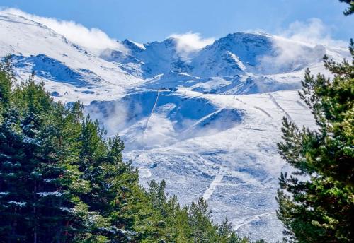 einen schneebedeckten Berg mit Bäumen im Vordergrund in der Unterkunft Disfruta Granada, Parking y Mascotas in Granada