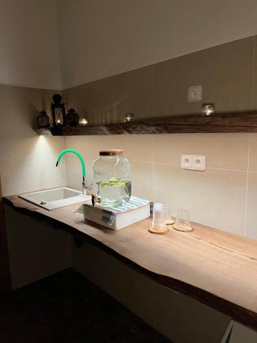 a kitchen counter with a fish bowl and a sink at Penzion Zákoutí Deštné v Orlických horách in Deštné v Orlických horách