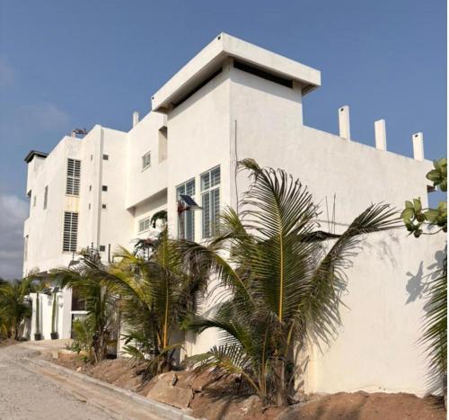 Un edificio blanco con palmeras delante. en Villa Soleil, Face a la mer, en Kika