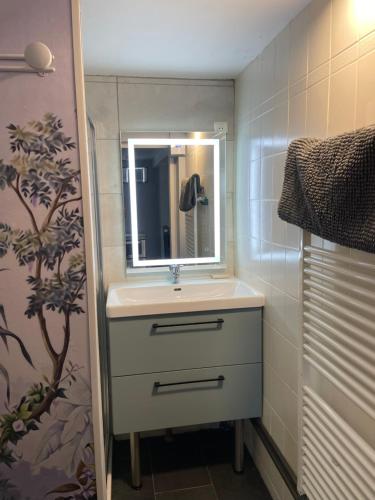 Koupelna v ubytování STUDIO 3 Mn de la PLAGE Terrasse Vélos Proche de la ville fortifiée