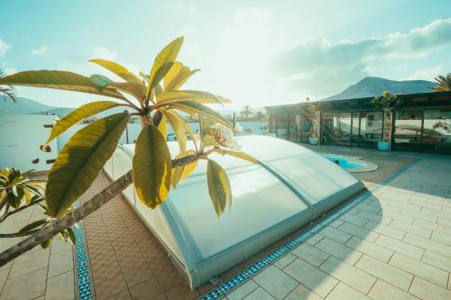 een gebouw met een palmboom naast een zwembad bij Casa Maida in Tetir