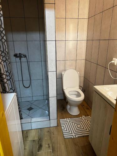 Будинок під Менчулом في راخيف: حمام مع دش ومرحاض ومغسلة
