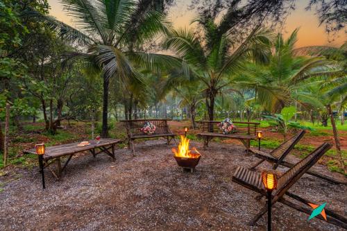 a fire pit in a park with benches and palm trees at Zostel Homes Kumta in Kumta