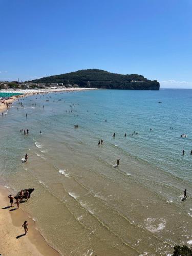 Příroda nedaleko bed and breakfast