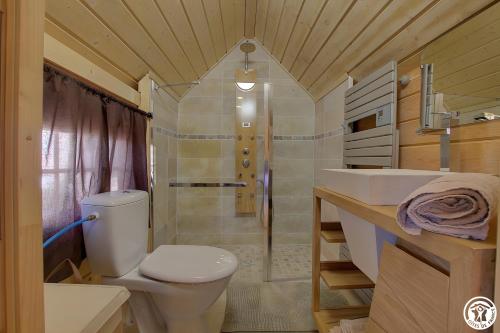 a bathroom with a toilet and a sink and a shower at Chambre Insolite L'écureuil in Coligny