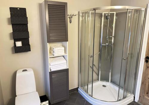 een badkamer met douche en toilet bij Herb Farm Guesthouse in Senja