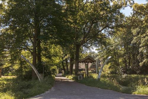 Afbeelding uit fotogalerij van De Cabin van Groenland in 't Zand