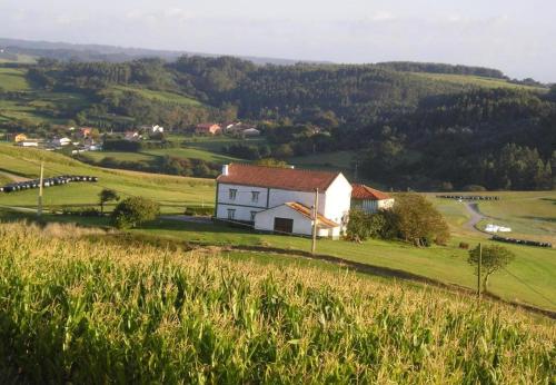 Natuurlandschap vlak bij het vakantiehuis