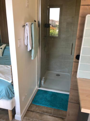 a bathroom with a shower with a shower rug at Appart'Hotel au Pradet in Le Pradet