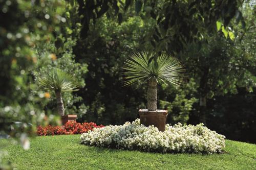 La Colombera Ristorante - Albergo في Castrezatto: نخلتين في حديقة بها زهور