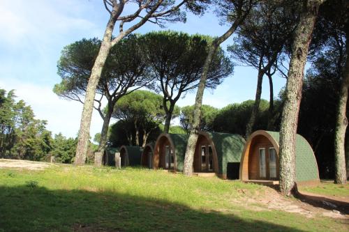 a house in the woods with trees at Montejunto Bungalows in Cadaval