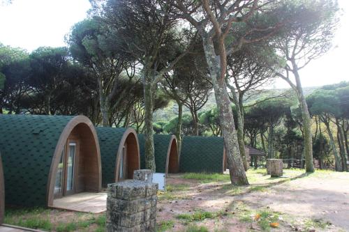 a group of small houses with trees in the background at Montejunto Bungalows in Cadaval