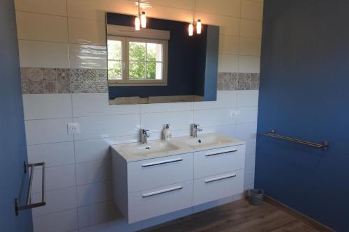 een badkamer met een wastafel en een spiegel bij Gite de la forge in Bettaincourt-sur-Rognon