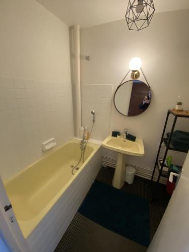 een badkamer met een bad, een wastafel en een spiegel bij Grand Studio avec loggia in Thorigny-sur-Marne