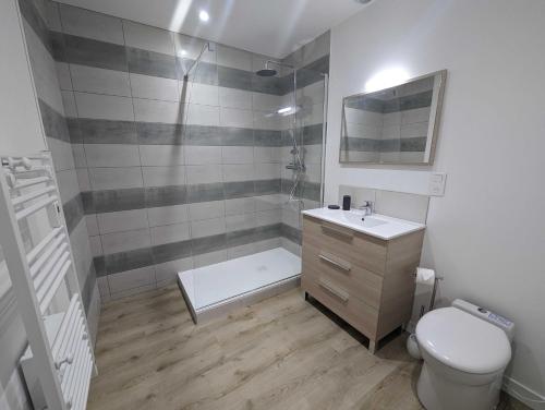 een badkamer met een douche, een toilet en een wastafel bij Le nancery in Langres
