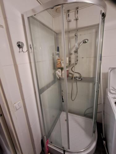een douche met een glazen deur in een badkamer bij Warm Nest in Rovaniemi