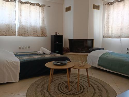 a room with two beds and a table and a tv at Forest Breeze-1 - JM Rentals in Steni Dirfyos