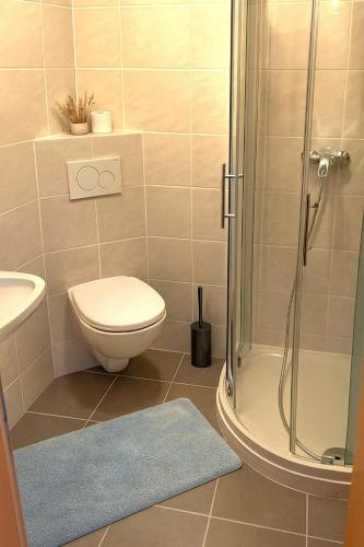 a bathroom with a shower and a toilet and a sink at Burgfräulein in Hardegg