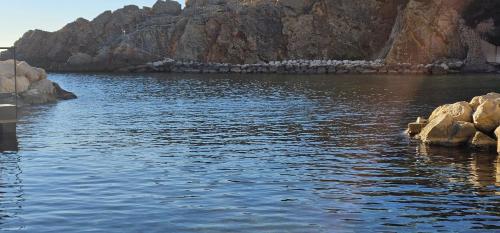 Entire apartment 200 meters from the seaside Au BleuRivage