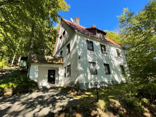 una grande casa bianca con alberi di fronte di Ferienhaus Lemmerwald a Neerdar