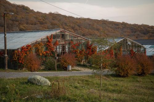 Φυσικό τοπίο κοντά σε αυτό το ξενοδοχείο