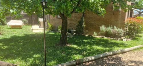 un cortile con un albero e un lampione di La Cañada a Colón