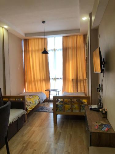 Afbeelding uit fotogalerij van Tamar's Apartment in Borjomi