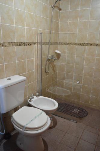 a bathroom with a shower and a toilet and a sink at Gosén Cabañas Sanagasta in Villa Bustos