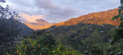 Φωτογραφία από το άλμπουμ του Ecocabaña Con Maloca cerca a Pijao Quindío σε Pijao