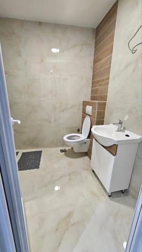 a bathroom with a toilet and a sink at Spring 4 in Petrovaradin