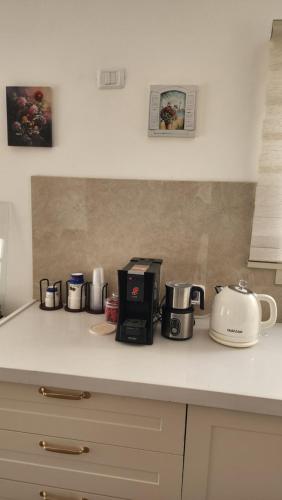 eine Küchentheke mit verschiedenen Geräten auf einer Arbeitsplatte in der Unterkunft צימר החורש in Dāliyat el Karmil