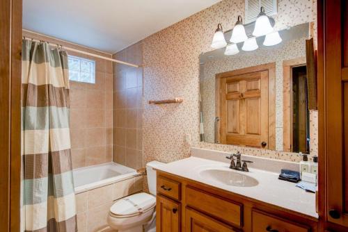 a bathroom with a sink and a toilet and a mirror at Appalachian Retreat in Blowing Rock