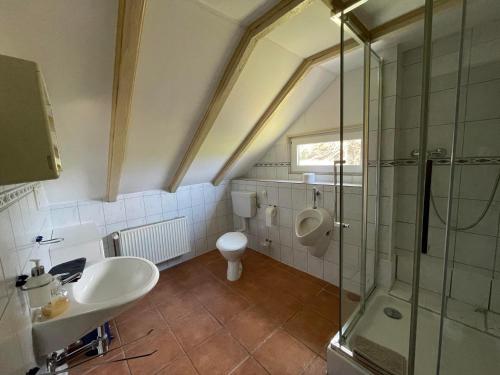un bagno con doccia, lavandino e WC di Ferienhaus Lemmerwiese a Stryck
