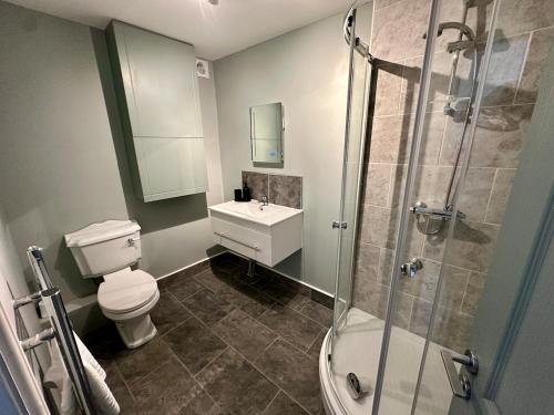 a bathroom with a toilet and a sink and a shower at The Kittiwakes Perch in The Mumbles