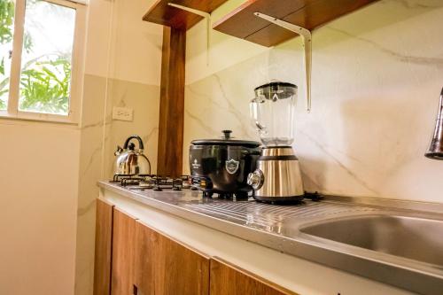 a kitchen counter with a blender and a sink at Casa de Campo Rio Piedra Farm Portobelo in María Chiquita