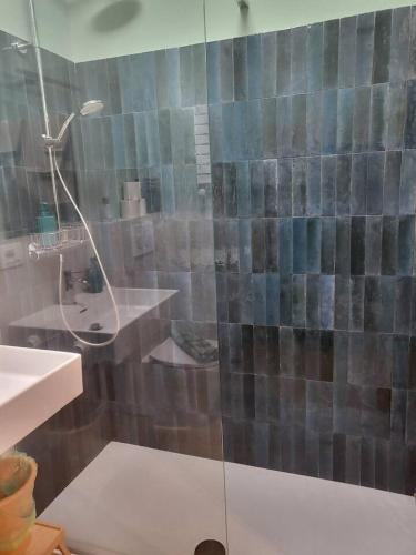 a bathroom with a shower and a sink at Elegante Suite in Centro Torino · Self Check-in in Turin