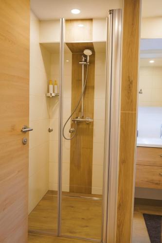 a shower with a glass door in a bathroom at MyAlpenloft 1 in Deutschgriffen