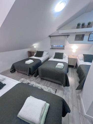 a room with three beds and a couch in it at Pokoje i Apartamenty Willa Bielany in Warsaw