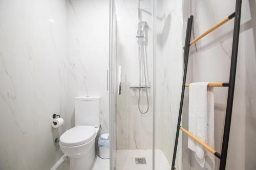 a white bathroom with a toilet and a shower at Apartment T1 - Porto in Porto
