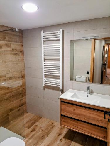 a bathroom with a sink and a mirror at Apartamentos Casa Domec in Castejón de Sos