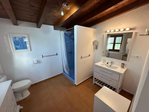 ein Badezimmer mit Toilette, Waschbecken und Spiegel in der Unterkunft Casitas Andalucia in Malaga