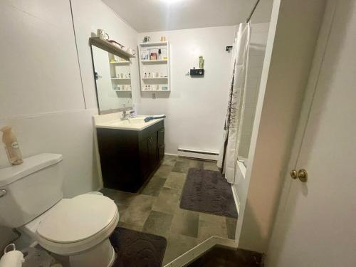 a small bathroom with a toilet and a sink at SylverPrud in Beauceville