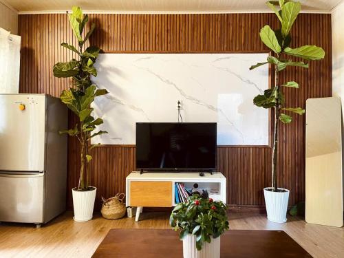 un soggiorno con TV e piante in vaso di Hạt Dẻ homestay Đà Lạt a Da Lat