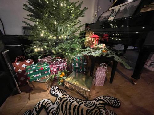 Φωτογραφία από το άλμπουμ του Beautiful Loft 130m2 Sun and free parking σε La Garenne-Colombes